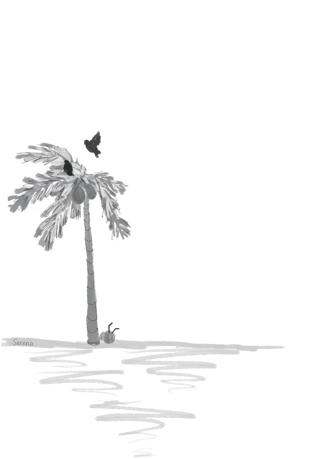 Summer in Dar es Salaam III