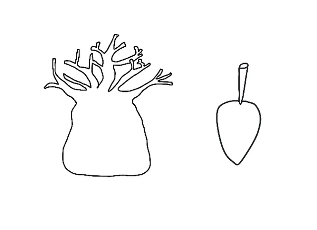 Baobab