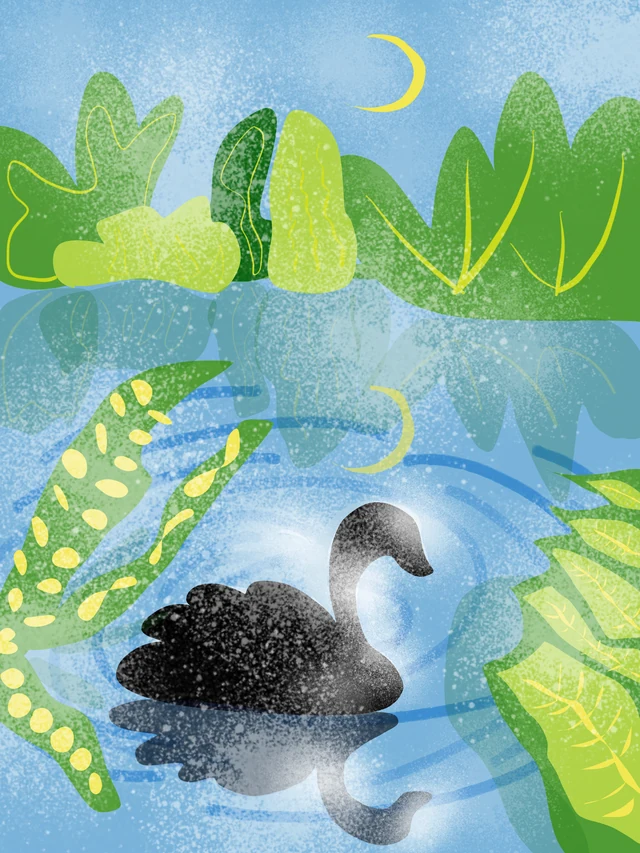 Exercise - Moon and Swan (Digital)